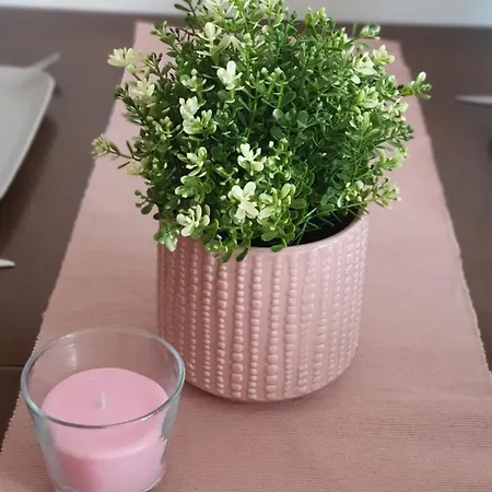 Le Soleil * Vrnjačka Banja