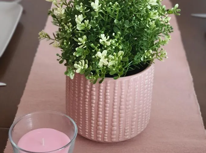 Le Soleil * Vrnjačka Banja